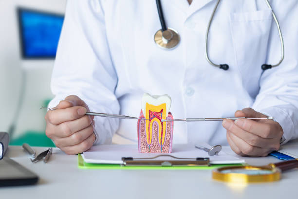 Best Emergency Dental Care for Broken or Chipped Teeth in Verdi, NV